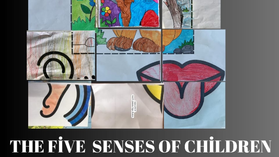 THE FIVE (MİSS) SENSES OF CHILDREN/ ÇOCUKLARDA BEŞ DUYU eTwinning Projemiz